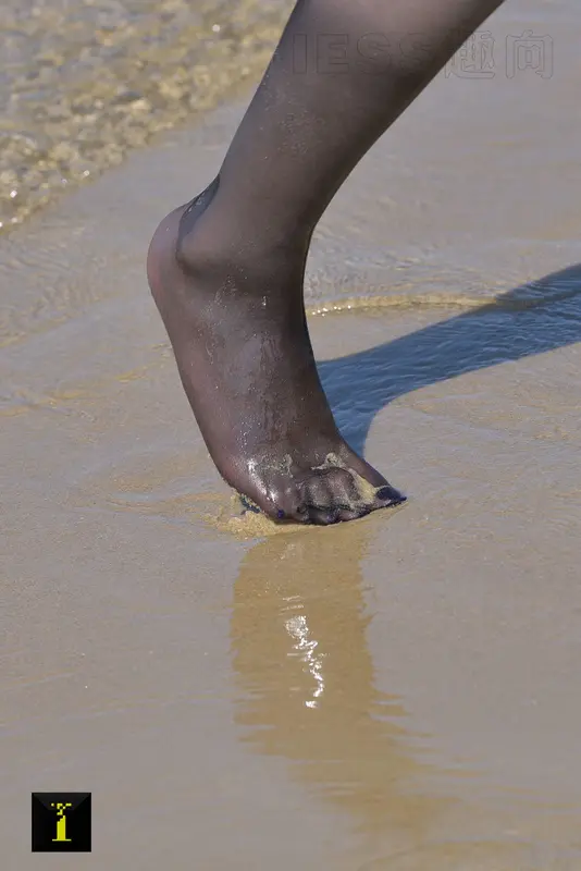 大海的女儿 2 - IESS